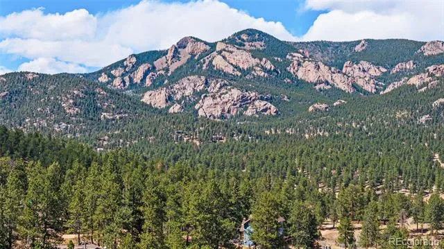 33769 Myrna Court Pine, CO 80470