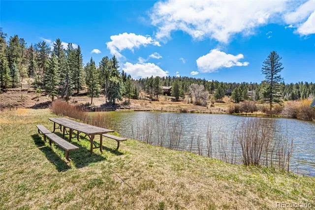 33769 Myrna Court Pine, CO 80470