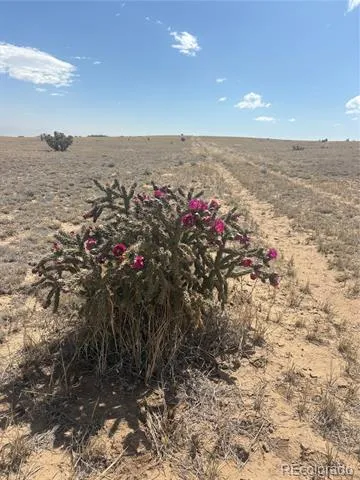 Lot 10 Cuerno Verde Ranches