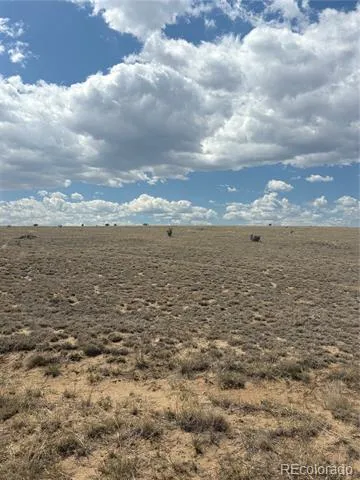 Lot 10 Cuerno Verde Ranches Walsenburg, CO 81089