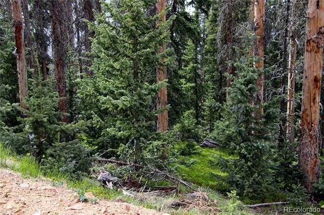 000 Schlueter Road Fort Garland, CO 81133