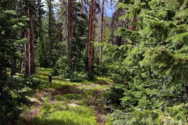 000 Schlueter Road Fort Garland, CO 81133
