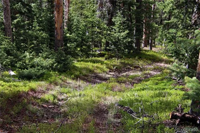 000 Schlueter Road Fort Garland, CO 81133