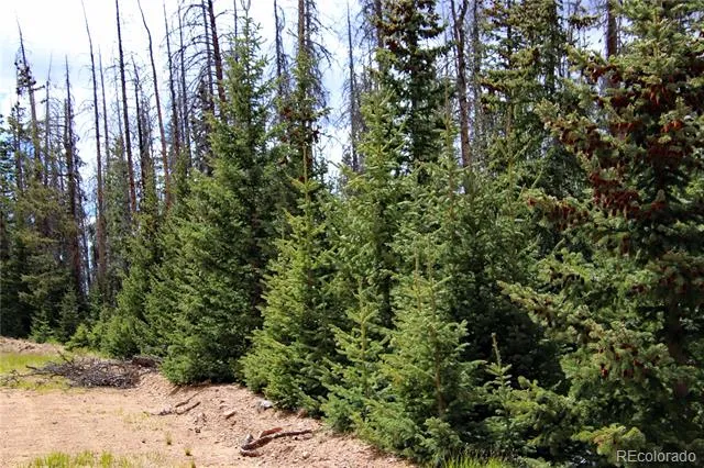 000 Schlueter Road Fort Garland, CO 81133