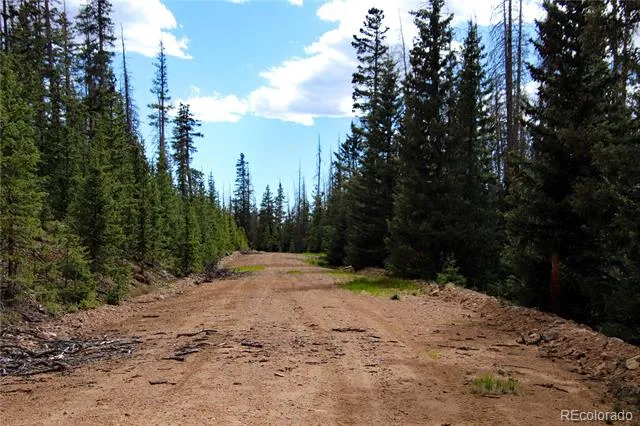 000 Schlueter Road Fort Garland, CO 81133