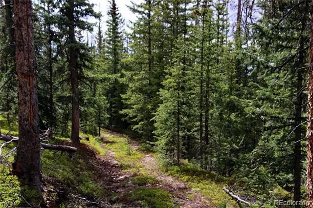 000 Schlueter Road Fort Garland, CO 81133