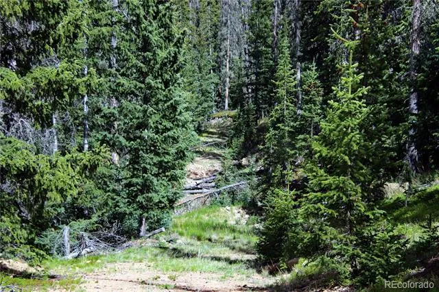 000 Schlueter Road Fort Garland, CO 81133