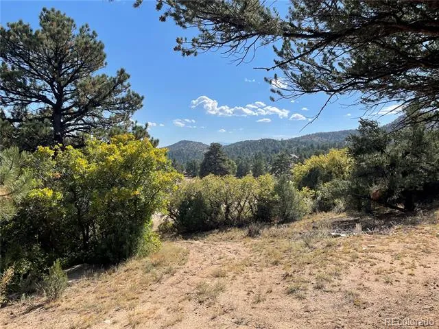 1810 Bird Point Drive Cotopaxi, CO 81223