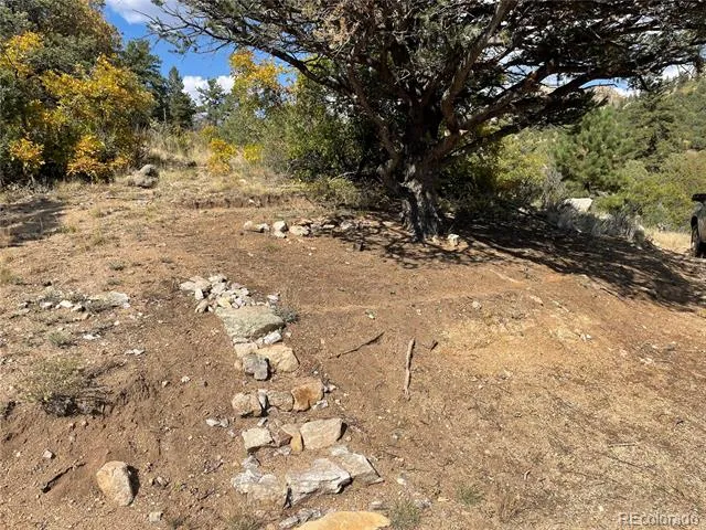 1810 Bird Point Drive Cotopaxi, CO 81223