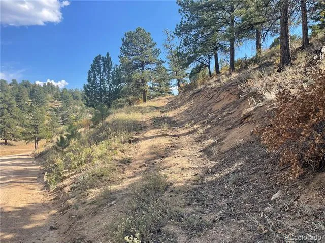 1810 Bird Point Drive Cotopaxi, CO 81223