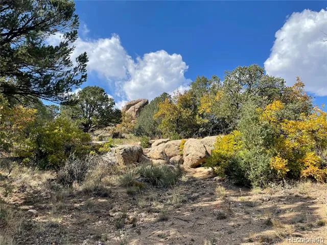 1810 Bird Point Drive Cotopaxi, CO 81223
