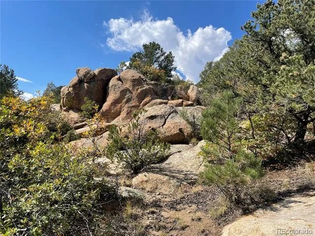 1810 Bird Point Drive Cotopaxi, CO 81223