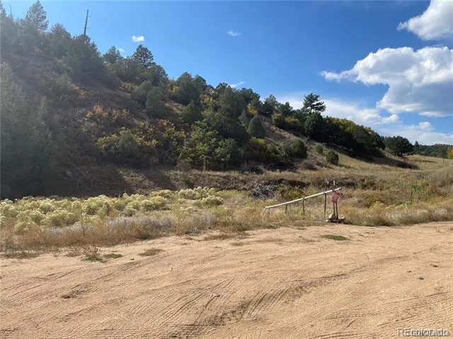 1810 Bird Point Drive Cotopaxi, CO 81223