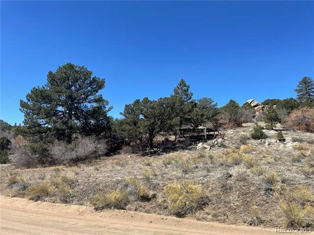 1810 Bird Point Drive Cotopaxi, CO 81223