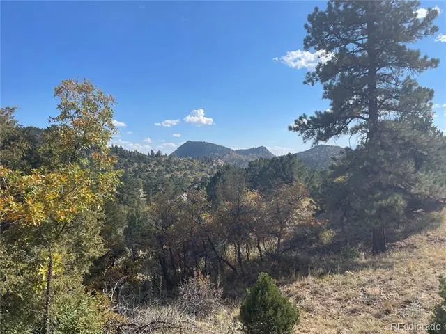 1810 Bird Point Drive Cotopaxi, CO 81223