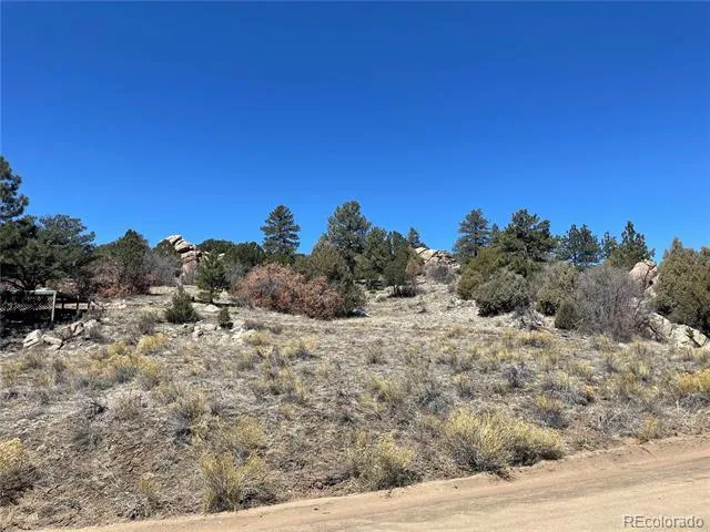 1810 Bird Point Drive Cotopaxi, CO 81223