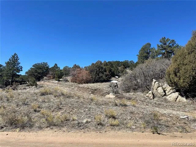 1810 Bird Point Drive Cotopaxi, CO 81223
