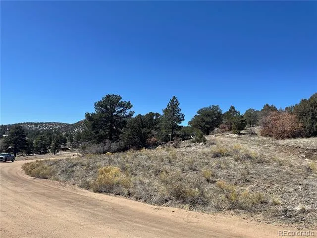 1810 Bird Point Drive Cotopaxi, CO 81223
