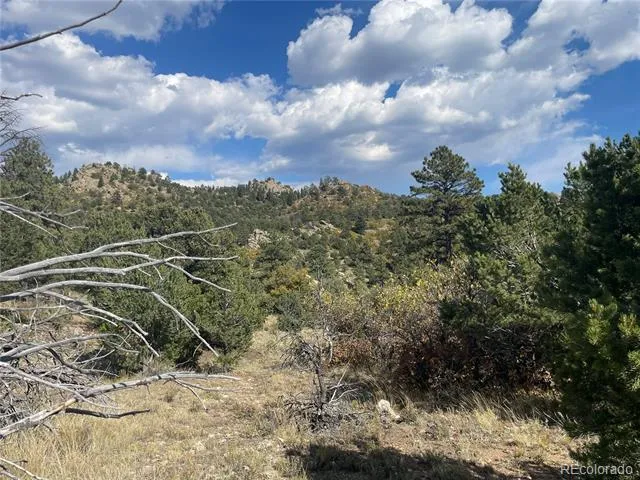 1810 Bird Point Drive Cotopaxi, CO 81223