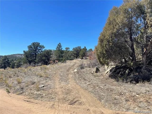 1810 Bird Point Drive Cotopaxi, CO 81223