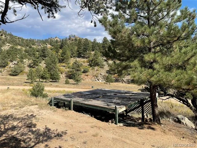 1810 Bird Point Drive Cotopaxi, CO 81223