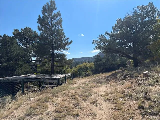 1810 Bird Point Drive Cotopaxi, CO 81223