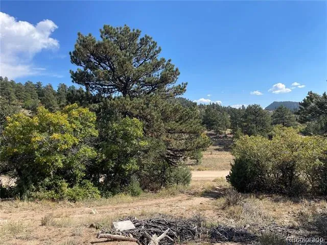 1810 Bird Point Drive Cotopaxi, CO 81223