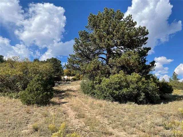 1810 Bird Point Drive Cotopaxi, CO 81223
