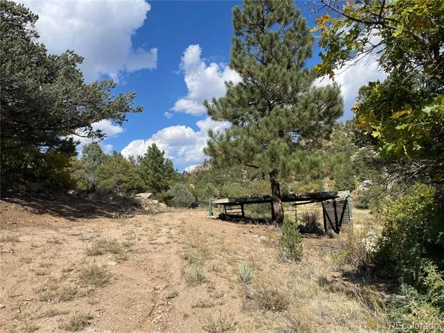 1810 Bird Point Drive Cotopaxi, CO 81223