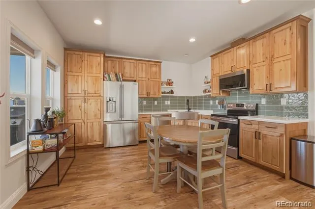 115 Brooklyn Circle Leadville, CO 80461