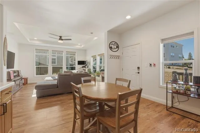 115 Brooklyn Circle Leadville, CO 80461