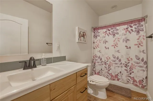 115 Brooklyn Circle Leadville, CO 80461
