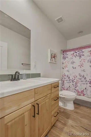 115 Brooklyn Circle Leadville, CO 80461