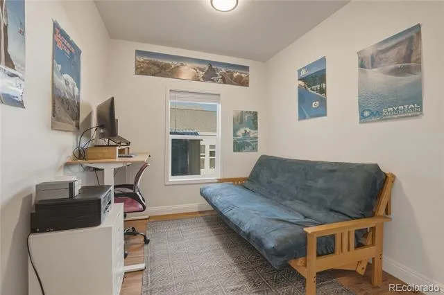 115 Brooklyn Circle Leadville, CO 80461