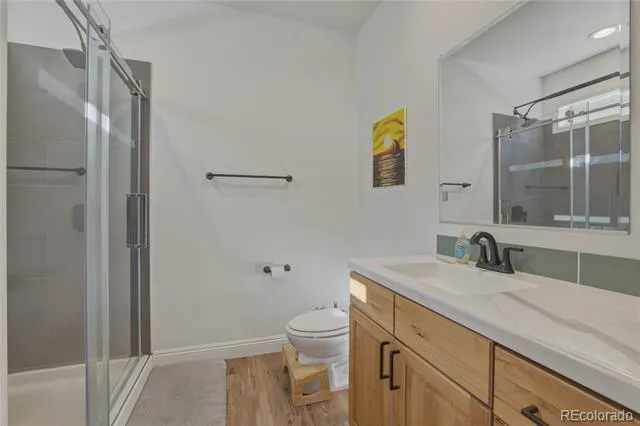 115 Brooklyn Circle Leadville, CO 80461