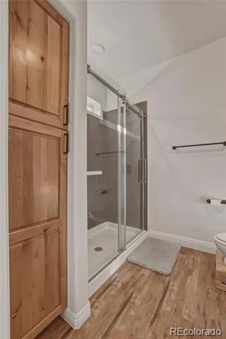115 Brooklyn Circle Leadville, CO 80461