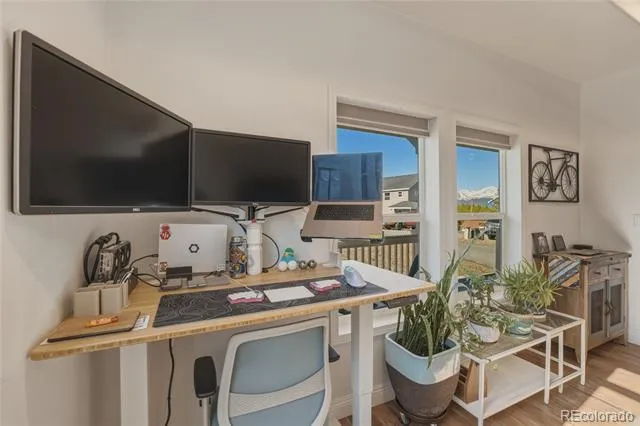 115 Brooklyn Circle Leadville, CO 80461