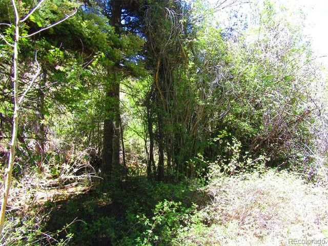 Lot 5526 Joy Road Fort Garland, CO 81133