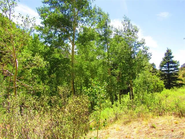 Lot 5526 Joy Road Fort Garland, CO 81133