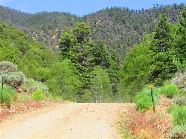 Lot 5526 Joy Road Fort Garland, CO 81133