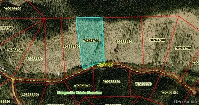 Lot 5526 Joy Road Fort Garland, CO 81133