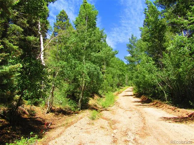 Lot 5526 Joy Road Fort Garland, CO 81133