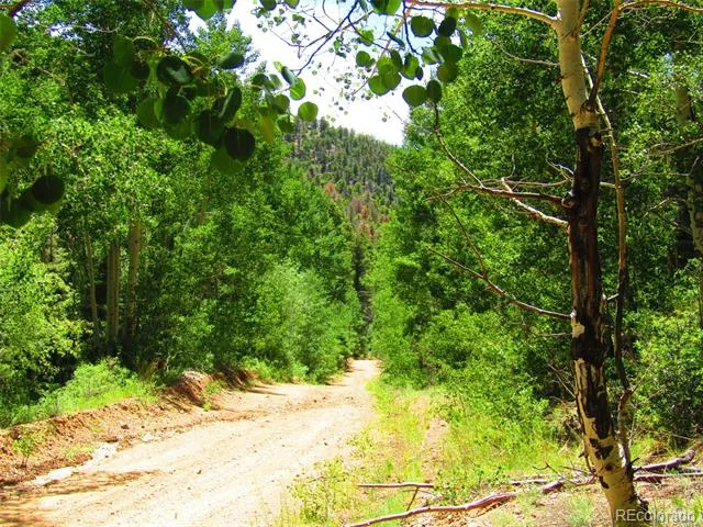 Lot 5526 Joy Road Fort Garland, CO 81133