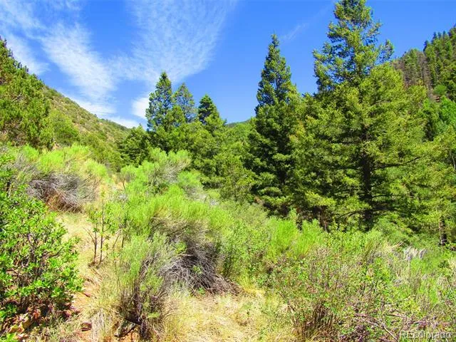 Lot 5526 Joy Road Fort Garland, CO 81133