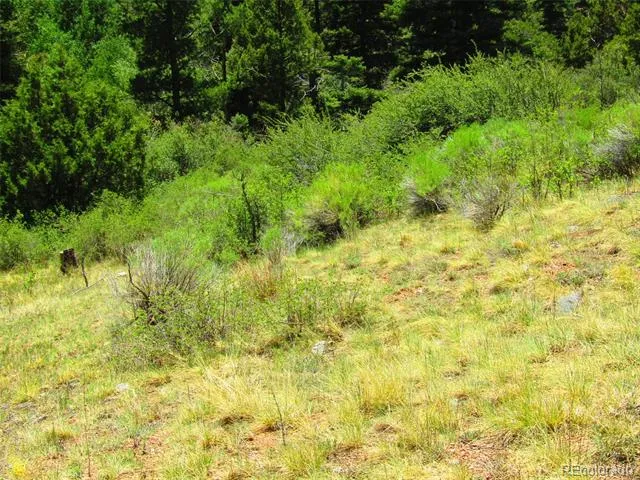 Lot 5526 Joy Road Fort Garland, CO 81133