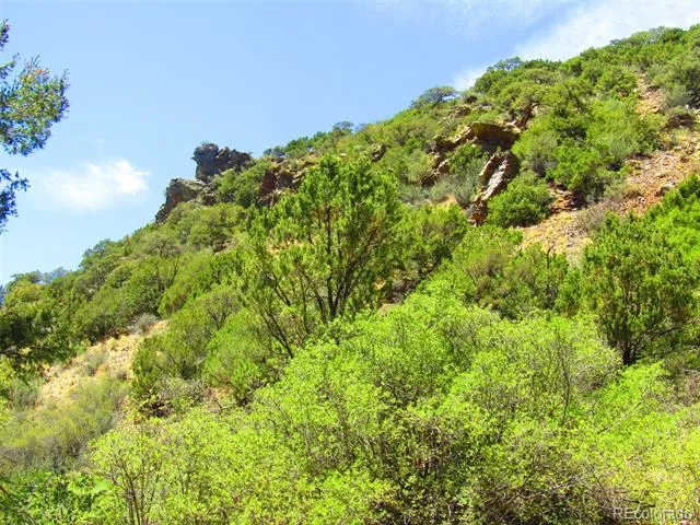 Lot 5526 Joy Road Fort Garland, CO 81133