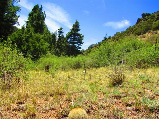 Lot 5526 Joy Road Fort Garland, CO 81133