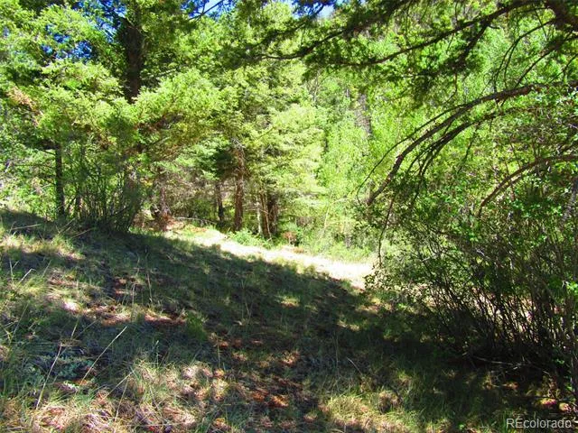Lot 5526 Joy Road Fort Garland, CO 81133