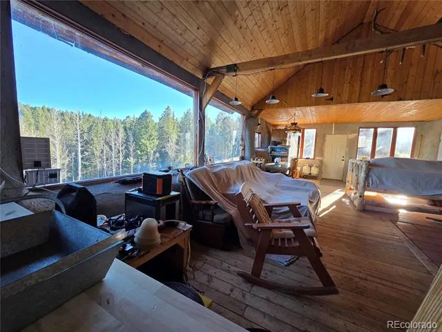 1434 Blue Mesa Drive Divide, CO 80814