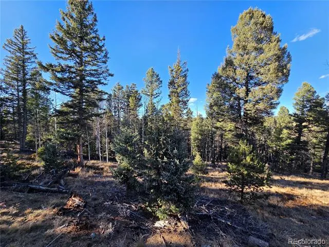 1434 Blue Mesa Drive Divide, CO 80814